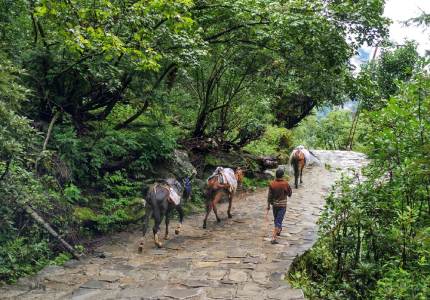 Hemkund Sahib Yatra