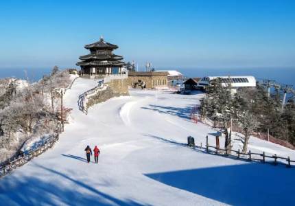Dalhousie Tour Taxi Services