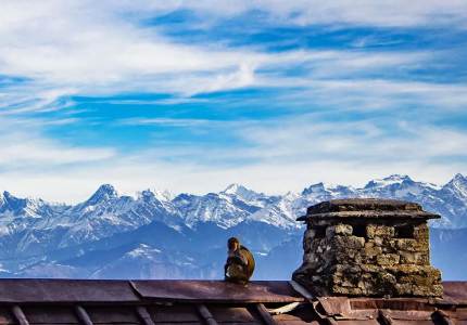 Dalhousie Tour Taxi Services