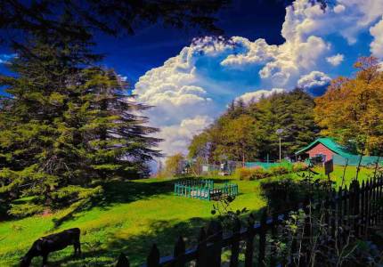 Amritsar to Dalhousie–Dharamshala Tour