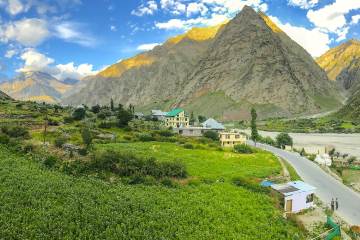 Leh Nubra Pangong 9 Days Tour