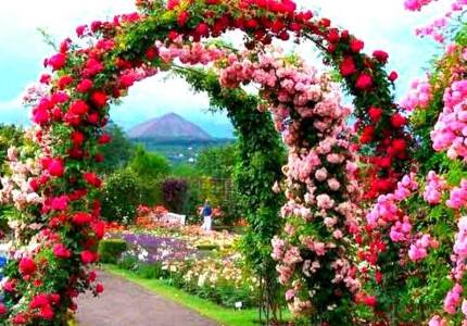 Shimla Manali Adventure Tour