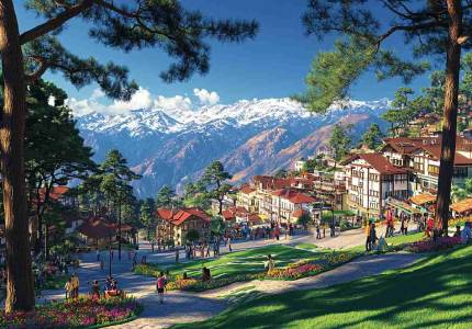 Shimla Tour Taxi Services