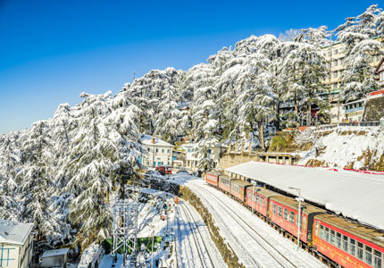 Shimla Tour Taxi Services