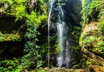 Amritsar–Dharamshala Mountain Tour