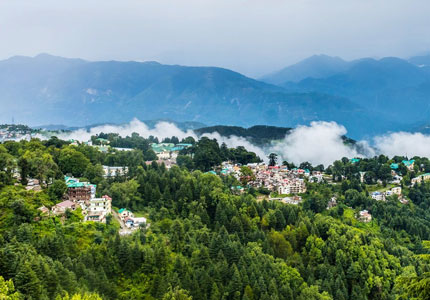Dalhousie Tour Taxi Services
