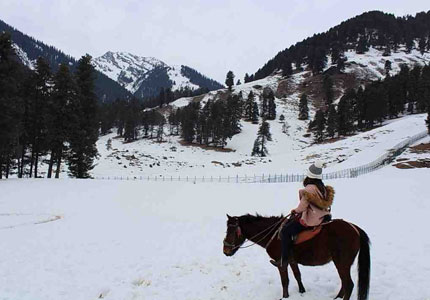 Srinagar Gulmarg Pahalgam 9 Days Tour
