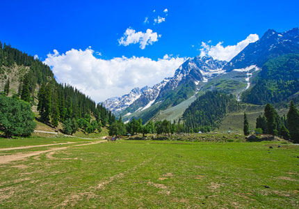 Kashmir Short Escape (5 Days)